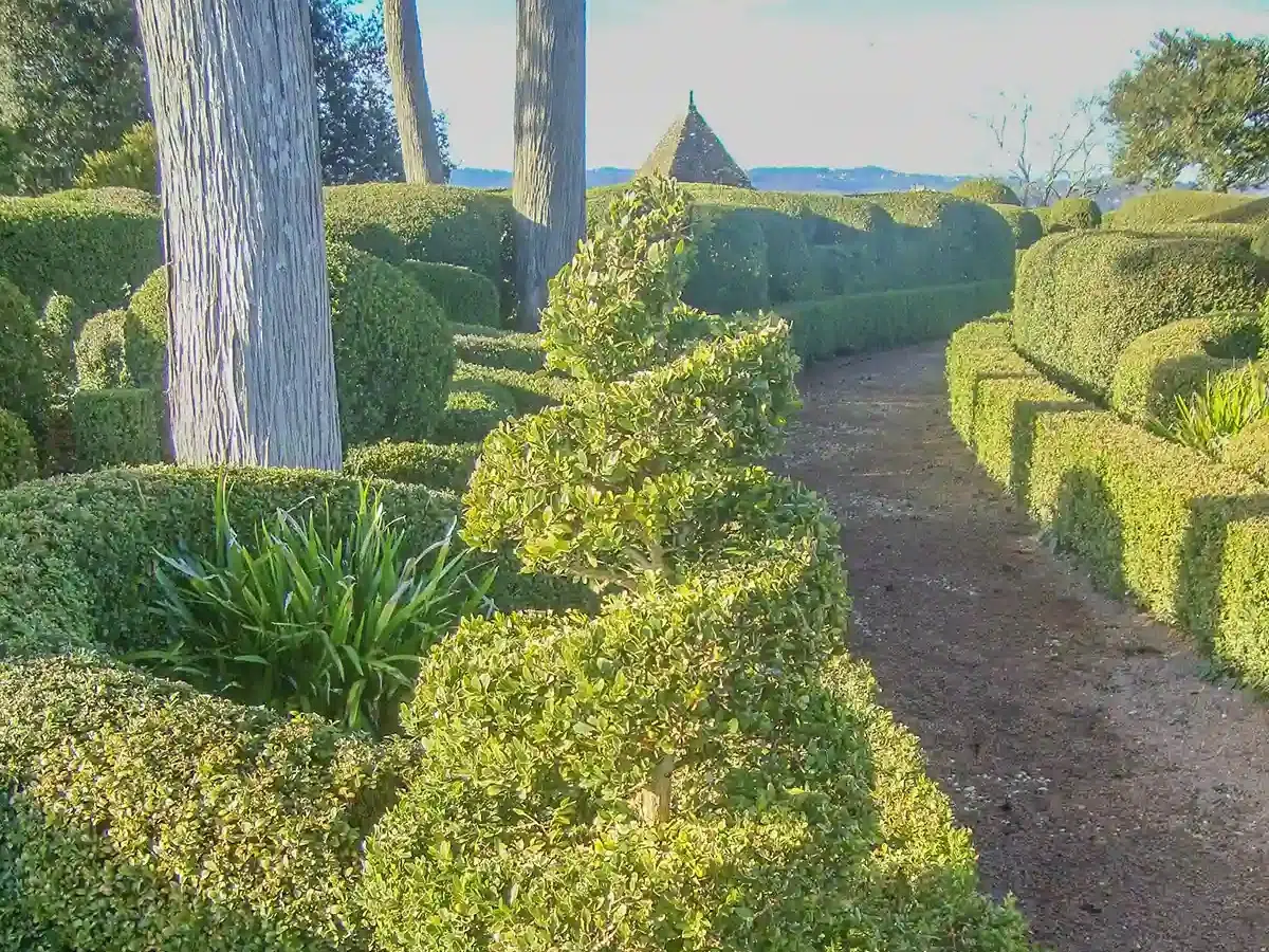 Allée de buis taillés à la main dans les jardins de Marqueyssac, en Dordogne