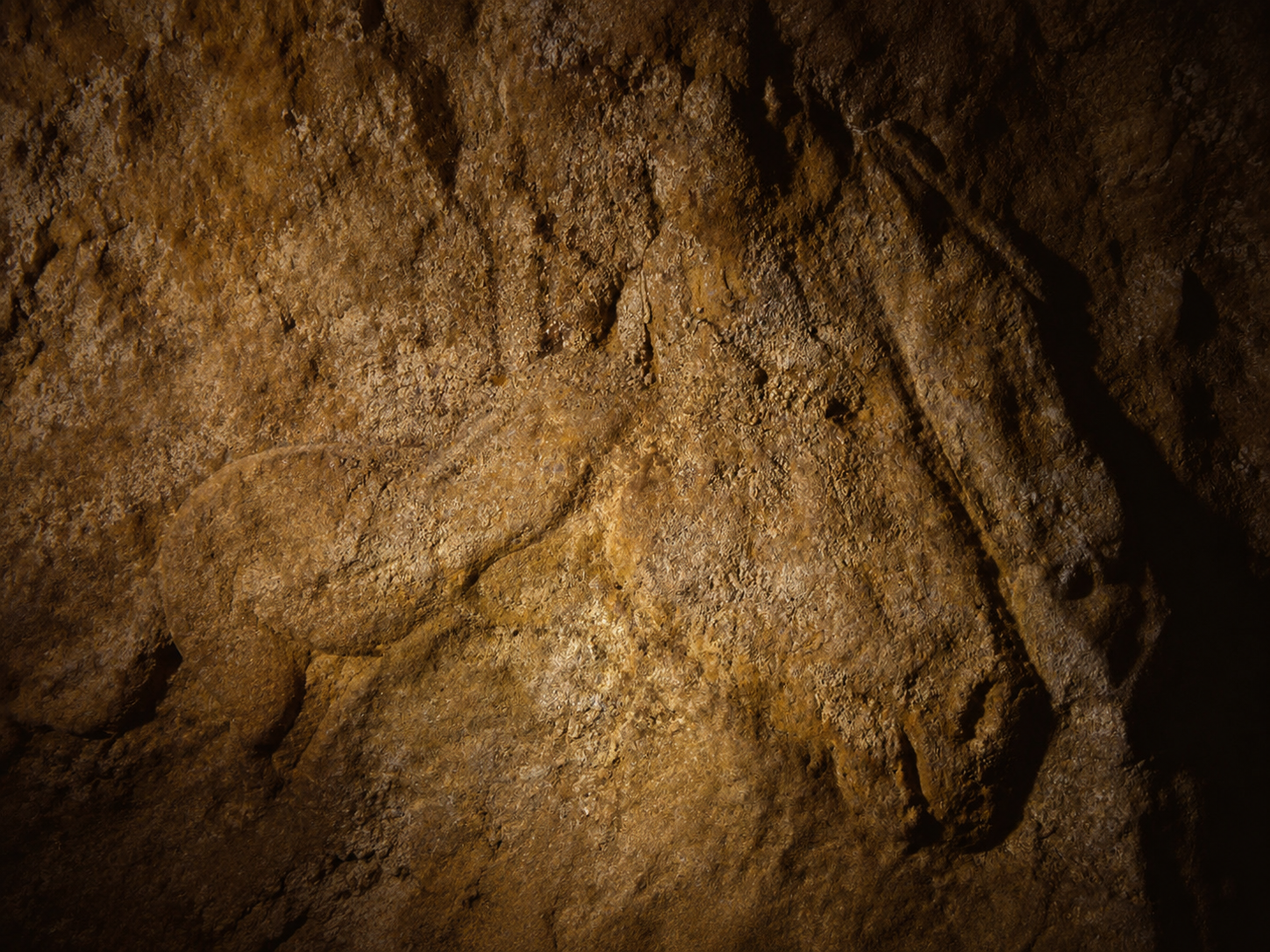 Le cheval de Commarque, bas-relief sculpté à taille réelle dans la grotte ornée magdalénienne